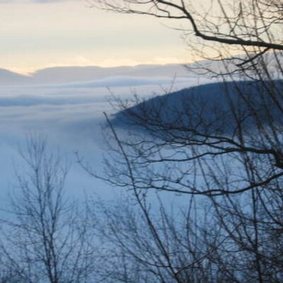 Profile Picture of Mark D. Shulman (@KRAMDS) on Twitter