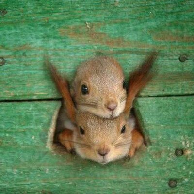 Profile Picture of Yolanda Barba (@YolandaBarba2) on Twitter