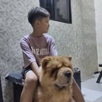 Profile Picture of Sean Charles Galdo (@seancharles.galdo.3) on Facebook