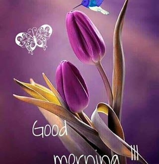 Joseph Edwin - Facebook Profile Picture of Joseph Edwin (@joseph.edwin.1654) on Facebook