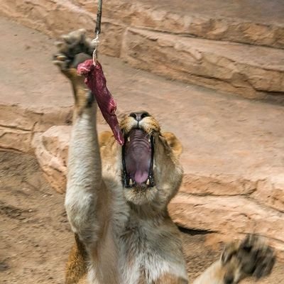 Profile Picture of Richard Marks (@RicardoM000) on Twitter