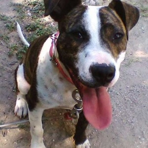 Profile Picture of Will Espi (@will_lliw_will_lliw) on Myspace