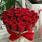 Profile Picture of Rodica Robert (@rodica.robert) on Instagram