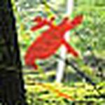 Profile Picture of Iris Samson (@icircleil) on Flickr