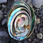 Georgina Rees-Stevenson - Instagram Profile Picture of Georgina Rees-Stevenson (@mrsdoomspatterson) on Instagram