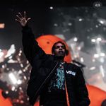 Profile Picture of Asha❤️🌹 (@_joe.pilgrim_) on Instagram