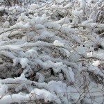 Profile Picture of Ian (@iancappertonse) on Instagram