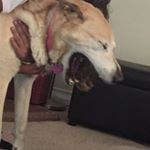 Profile Picture of BrandPosting (@brandy.posting) on Instagram