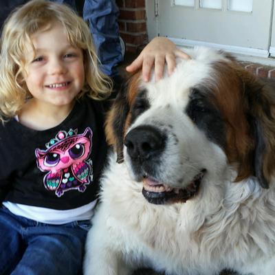Profile Picture of Max The St. Bernard (@Bkirk972) on Twitter