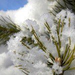 Profile Picture of Walli (@wallistoddardscb) on Instagram