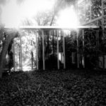 Profile Picture of Dwight Harrison (@bandeeezy) on Instagram