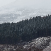 Profile Picture of Christopher Griffiths (@Christopher Griffiths) on Flickr