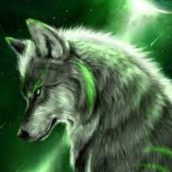 Mickayla Watson - Poshmark Profile Picture of Mickayla Watson (@kay042023) on Poshmark