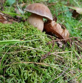 Profile Picture of Andrea Fisherman Rapi (@andrea.fishermanrapi) on Facebook