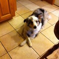 Profile Picture of Steve Gregory (@steve-gregory-27) on Quora