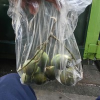 Gregory Zamora - Quora Profile Picture of Gregory Zamora (@gregory-zamora) on Quora