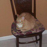 Profile Picture of joseph catano (@catanojoseph) on Instagram