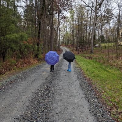 Profile Picture of Jenny Barbee (@tinkerbellyache) on Twitter
