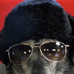 Profile Picture of James Faulisi (@james.faulisi) on Facebook