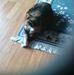 Profile Picture of Sheila Look (@sheila.look.33) on Facebook