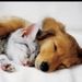 Profile Picture of Ava Marks (@avalou7999) on Pinterest