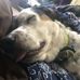 Profile Picture of Alexander Parsons (@alexander.parsons.1650) on Facebook