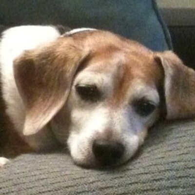 Profile Picture of Paul Mattson (@sfpauly) on Twitter