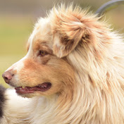 Profile Picture of Cathy Lowe (@cathylowe1501) on Youtube