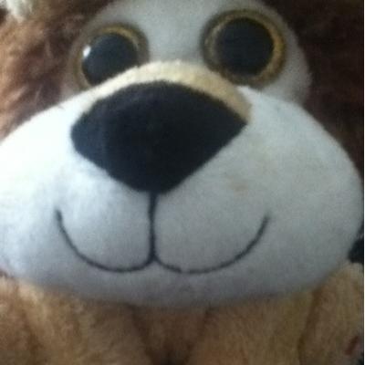 Profile Picture of Joe Grady (@lioneyes85) on Twitter