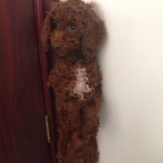 Profile Picture of Kevin Qiu (@kevin.qiu.9085) on Facebook