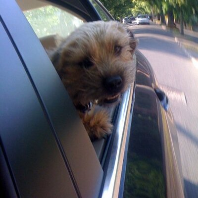 Profile Picture of Bob Stella (@BobStella14) on Twitter