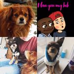 Profile Picture of Adamski, Shaun and the beans! (@llamaplant) on Instagram