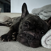 Profile Picture of James Pena (@JamesPena-i7g) on Youtube