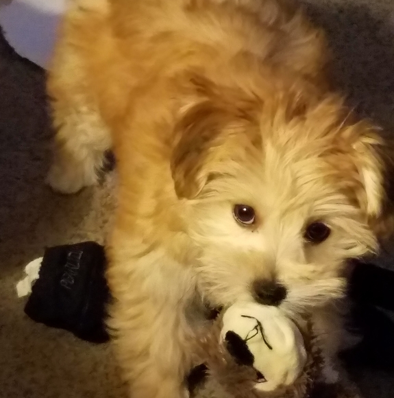 Profile Picture of Tina Grimm (@tinagrimm1960) on Poshmark