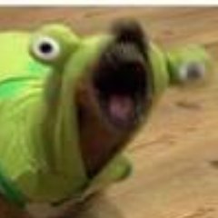 Profile Picture of Matthew Norden (@Matthew__Norden) on Twitter