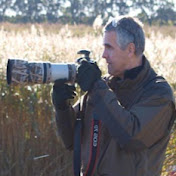 Profile Picture of Peter Sand (@petersand1706) on Youtube