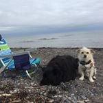 Profile Picture of Robert Dufour (@robert_dufour1) on Instagram
