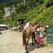 Profile Picture of Shruti Shrestha (@nakarmishruti) on Pinterest