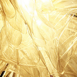 Profile Picture of Kyoung Hun Lee (@hoondesign) on Flickr