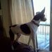 Profile Picture of Sherree Allen (@sherree.allen.121) on Facebook