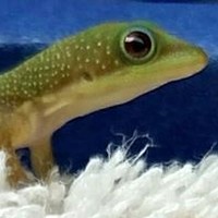 Profile Picture of Lori Ekwe (@lori-ekwe) on Quora