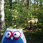 Profile Picture of Ewa Wachowicz (@ewulaki) on Instagram