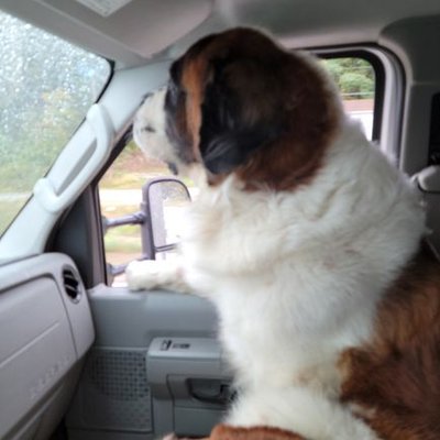 Profile Picture of Joe Plumber (@Jeffconover3) on Twitter