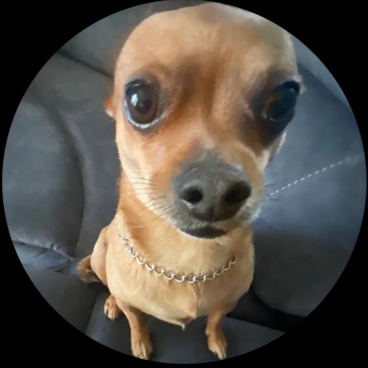 Profile Picture of Joseph (@rxwind6) on Tiktok