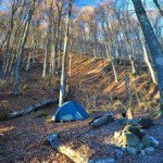 Profile Picture of Fuggle (@fugglesparger67q) on Instagram