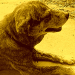 Profile Picture of Emily Zhang (@cv5643) on Flickr