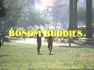 Profile Picture of Bosom Buddies - Wikipediaon Wikipedia