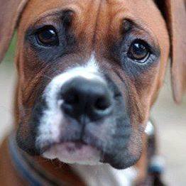 Profile Picture of Sandy McNerney Jones (@Sandy-McNerney-Jones) on Facebook