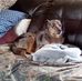 Profile Picture of Bryan Bopp (@bryan.bopp.357) on Facebook