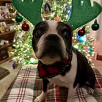 Profile Picture of Jennifer McNair (@jennifer.mcnair.18) on Facebook